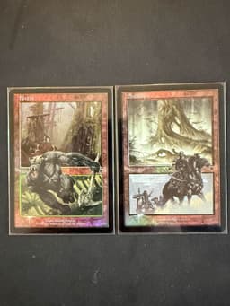 Forest (left), Swamp (right)